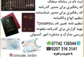 خدمات امور کنسولی