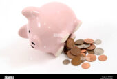 Short Term Loans Online Application Process without Check