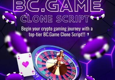 Dappsfirm-BC.Game-Clone-Software