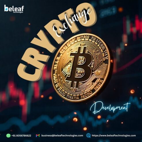 Your Path to a Top-Tier, Money-Making Crypto Exchange