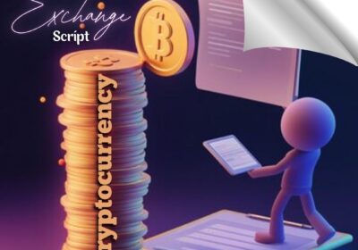 Crypto-Wallet-Classified-1