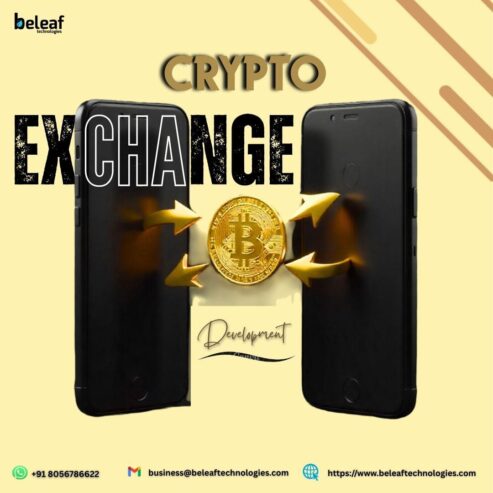 Top Crypto Exchanges Everyone is Talking About This Year – Beleaf
