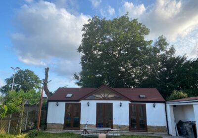 3CEF98E4-27FF-411C-A34D-34AEB570FD3E-1