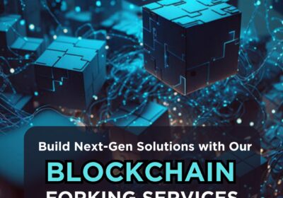 Blockchain-Fork-development
