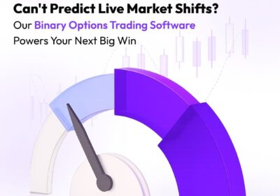 Binaryoptiontradingsoftwar