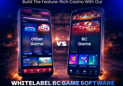 Whitelabel-BC-Game-Software