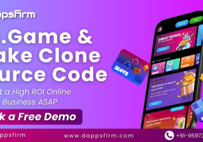 bcgame-stake-clone-source-code