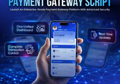 payment-gateway-script