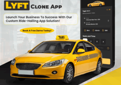 Lyft-Clone-N-493×493-1