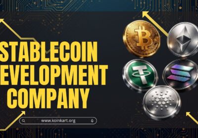StableCoin-Development-company