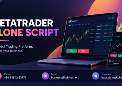 Metatrader-clone-script-koinkart